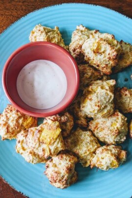 summer squash fritters on a plate