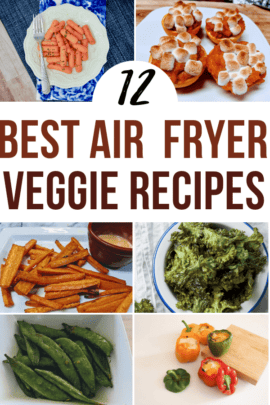 best air fryer veggie recipes