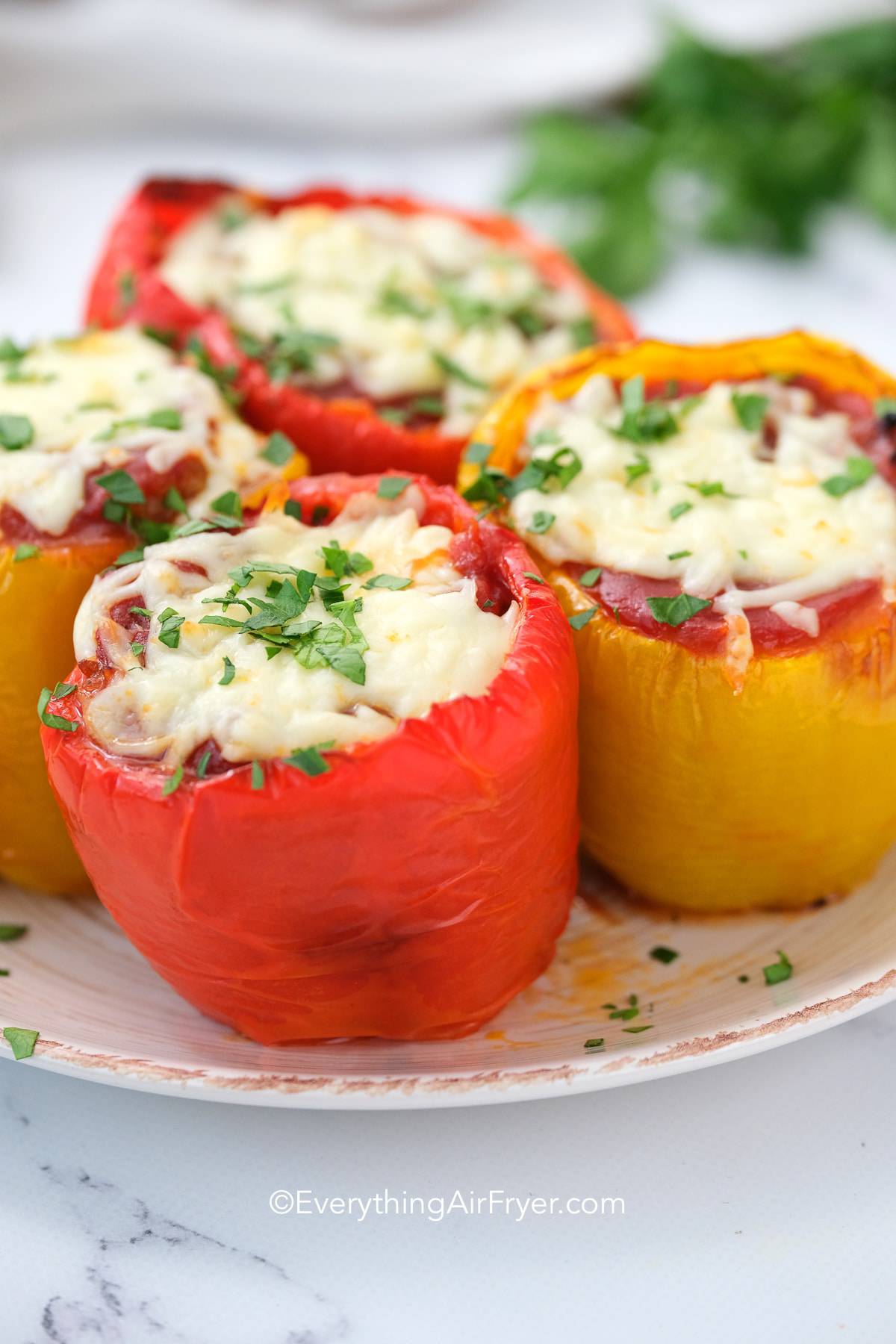 Air Fryer Stuffed Peppers on a Plate