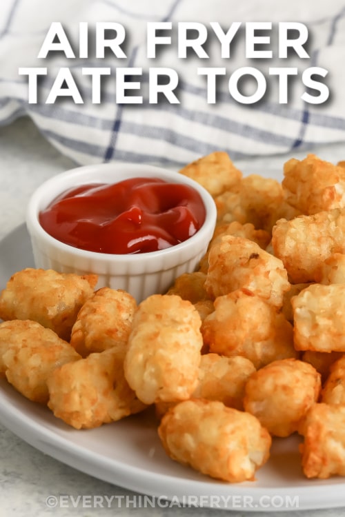 A plate of Air Fryer Tater Tots with writing