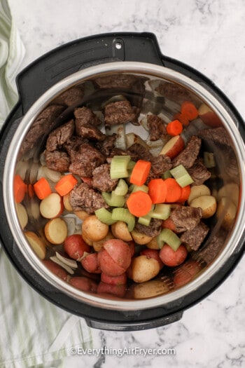 beef and vegetables in an instant pot