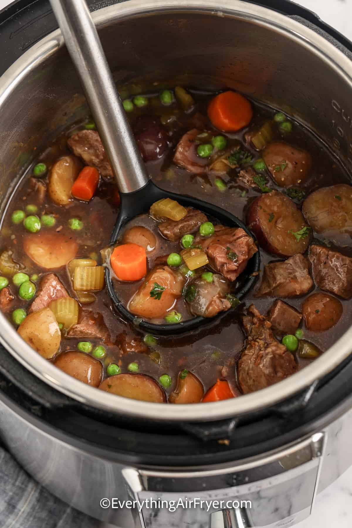 ladle with a scoop of instant pot stew with leftover steak