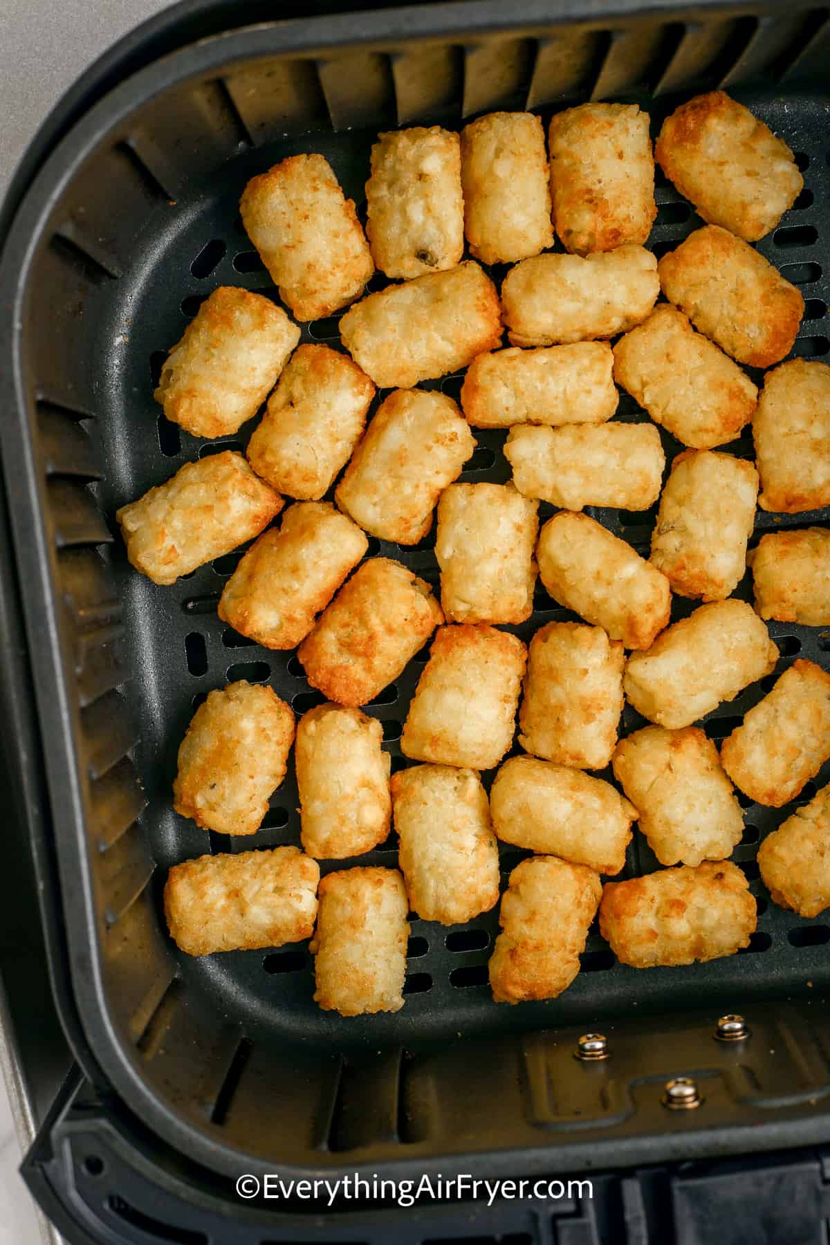 tator tots sitting in an air fryer tray