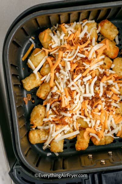 Air Fryer Loaded Tater Tots - Everything Air Fryer and More