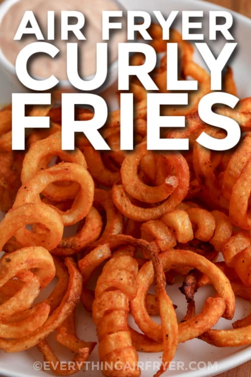 air fryer curly fries on a plate with text