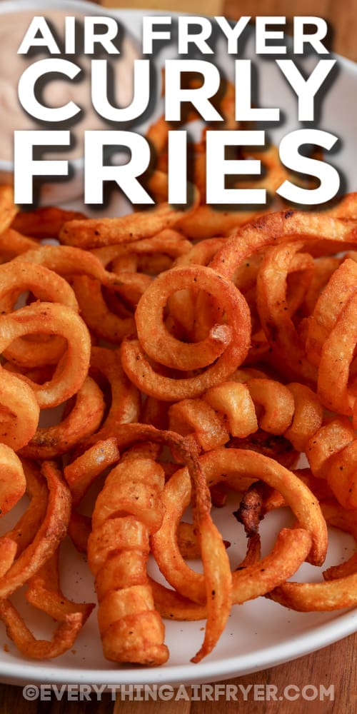 air fryer curly fries with text