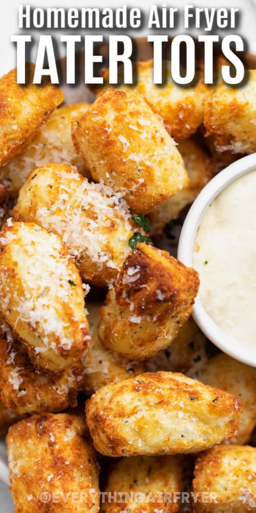 close up of Homemade Air Fryer Tater Tots with a title