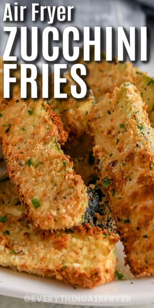 close up of plated Air Fryer Zucchini Fries with writing