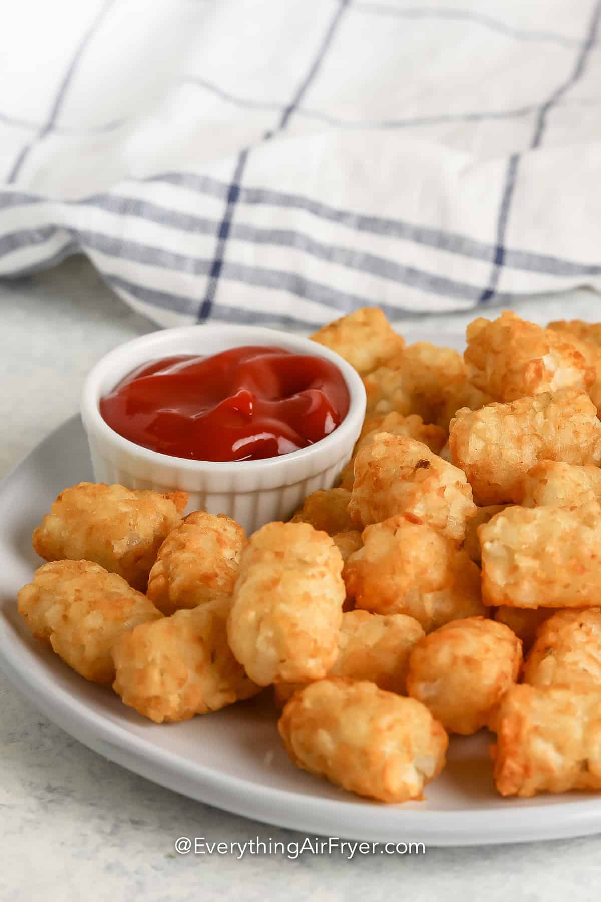 Air Fryer Tater Tots - Everything Air Fryer and More