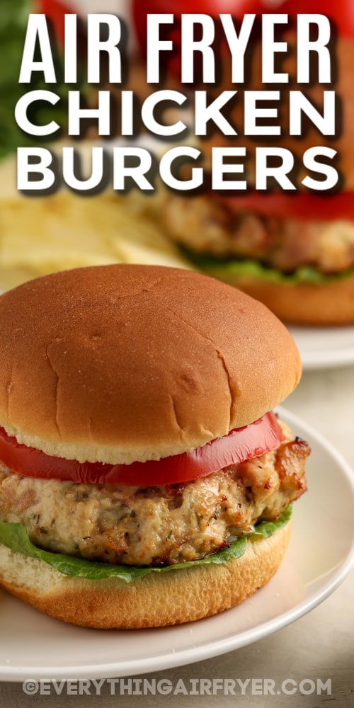 air fryer chicken burgers in a bun with text