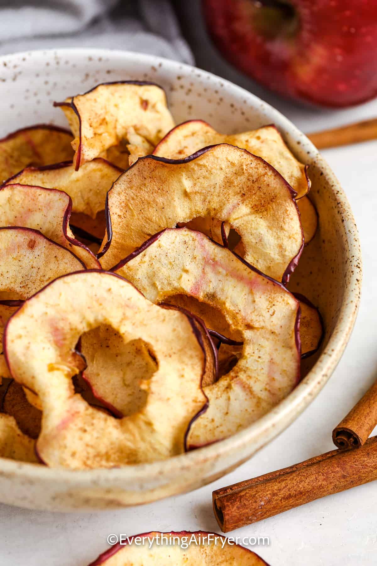 air fryer apple chips in a bowl next to cinnamon sticks