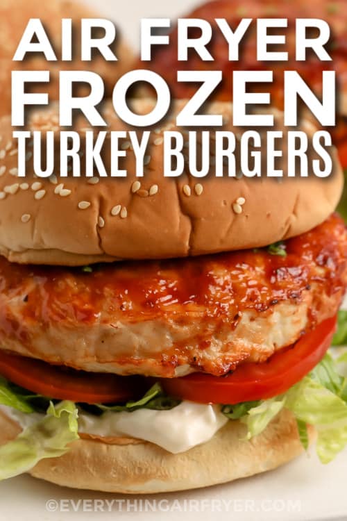 turkey burger with text