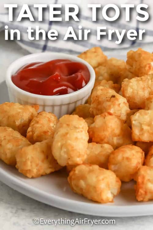 A plate of air fryer tater tots with ketchup with text